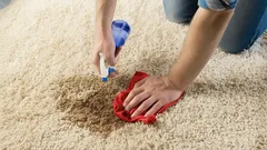 10 Simple and Effective Ways to Clean Your Carpet