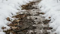 I put this under the snow in winter—and my garden soil is perfect in spring