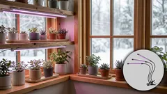 Grow lights 101: How to pick the right light for seedlings and houseplants