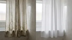 How to clean a shower curtain — mold, rust, and limescale