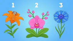 Personality Type Test: What You’re Like in Relationships with Others