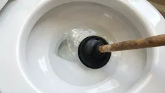 An expert explained how to clear a clogged toilet without calling a plumber