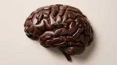 The Secret to Longevity and Vitality: What Changes When You Add This One Product