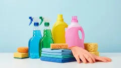 Household Cleaning Products: Myths That Prevent You from Saving Time, Health, and Money
