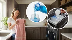 Choosing the Best Laundry Detergent: Which Removes Stains More Effectively—Gel or Powder